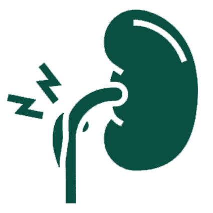 Acute Kidney Disease